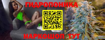 трава Краснодар